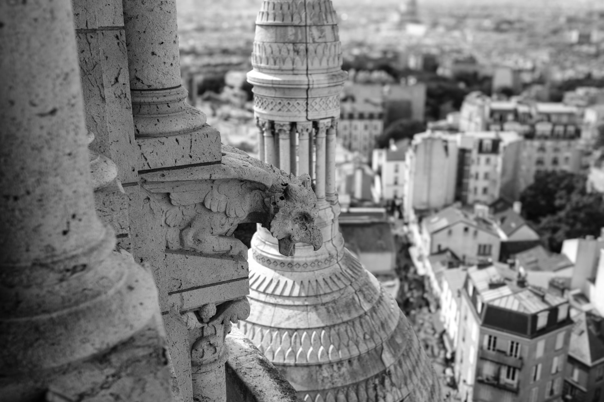 Black and white photograph of a carved eagle-like gargoyle projecting from Sacré-Cœur, the rooftops of Paris spread out far below.